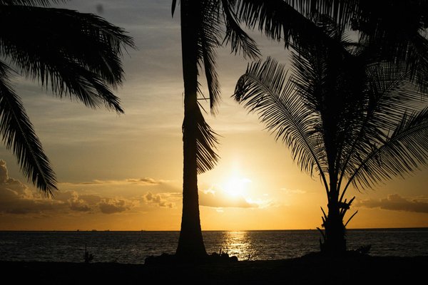 Interview avec un propriétaire de chambre d'hôtes