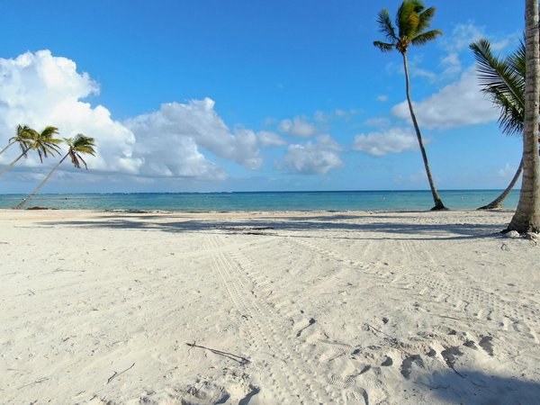 Un séjour inoubliable au camping les grenettes sur l'île de ré