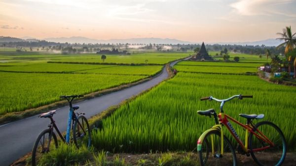 Les 7 meilleures aventures à ne pas manquer dans le Sud vietnamin